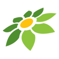 LINK DEWAHOKI